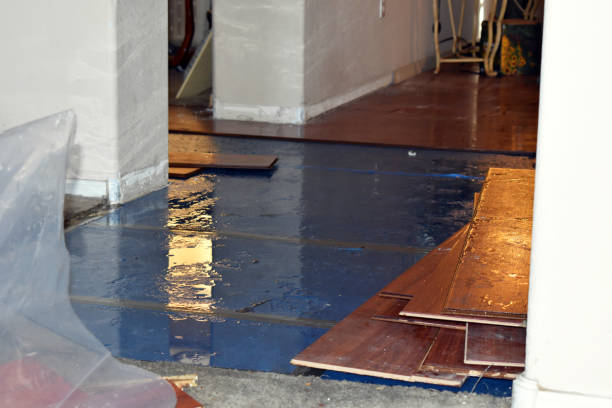 Professional Burst Pipe Cleanup technician working in Reesville, OH